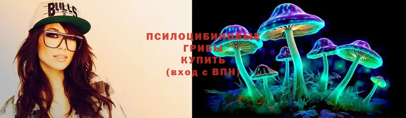 Галлюциногенные грибы Psilocybe  Набережные Челны 